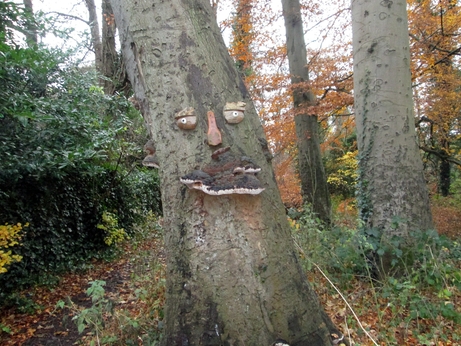 Tree with a face