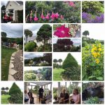 A Gardening Montage