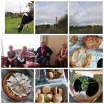 PhotoGrid_1571093592084-1