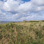 Walking - bushmills2.jpg