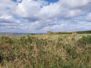 Walking - bushmills2.jpg